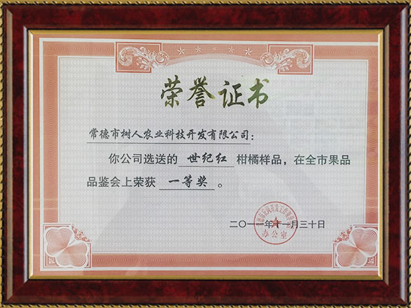 世紀(jì)紅2011榮譽(yù)證書