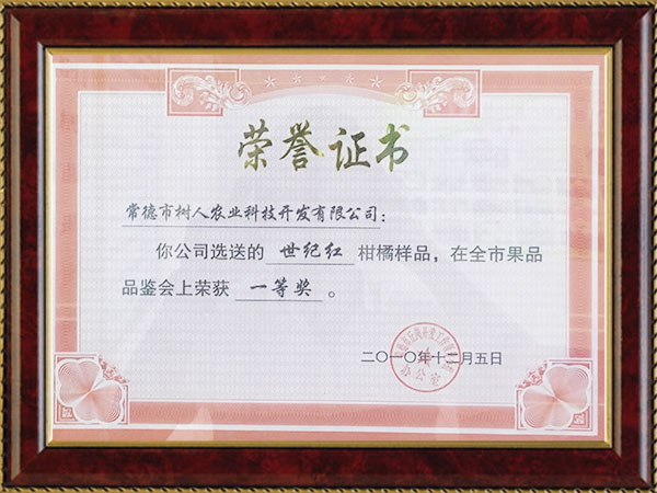 世紀(jì)紅2010榮譽(yù)證書