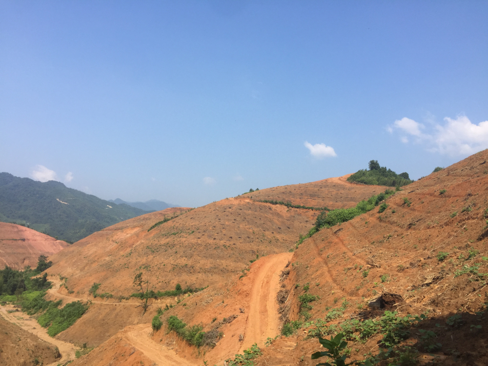 衡山縣確定林改沖刺月