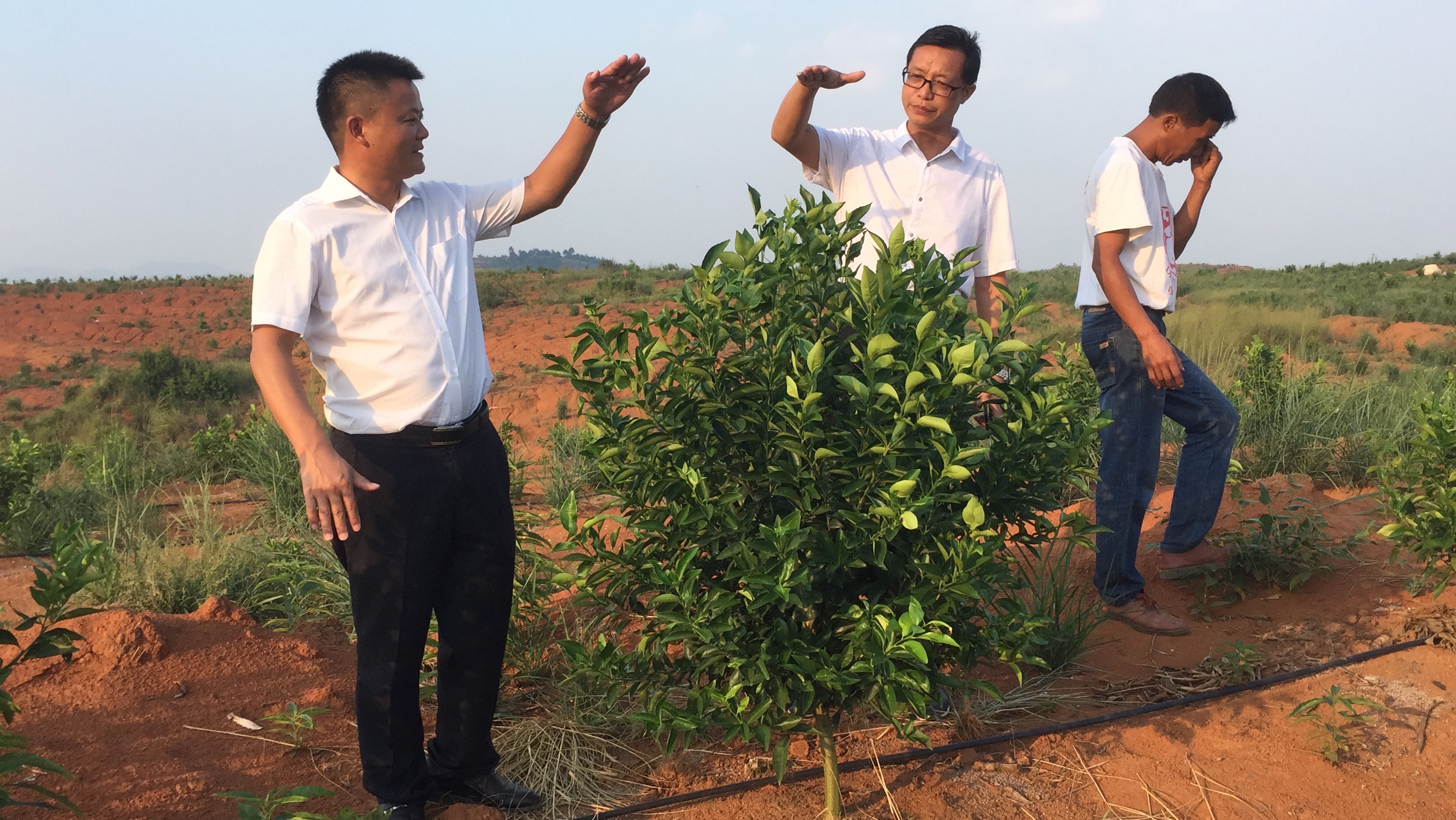 發揮龍頭企業帶動作用