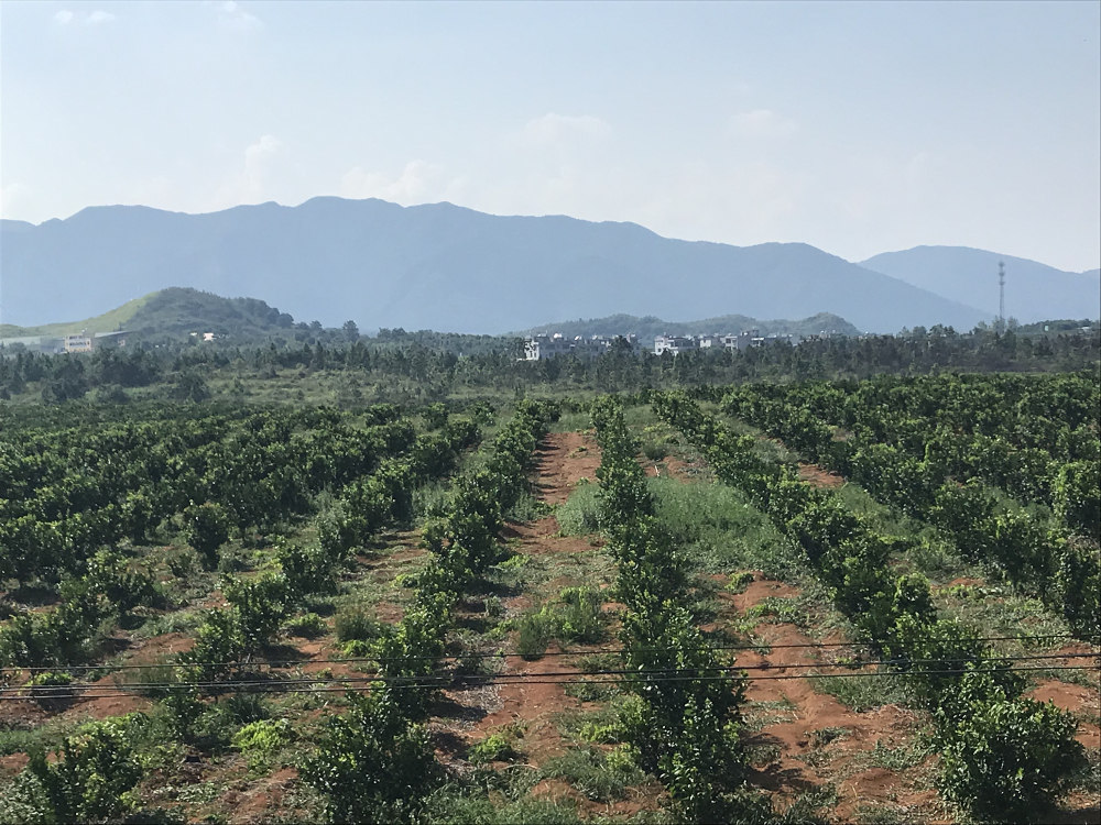 如何認識30年農村改革發展的巨大成就