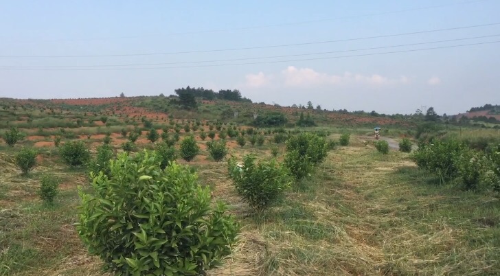 農副產品購銷合同條例