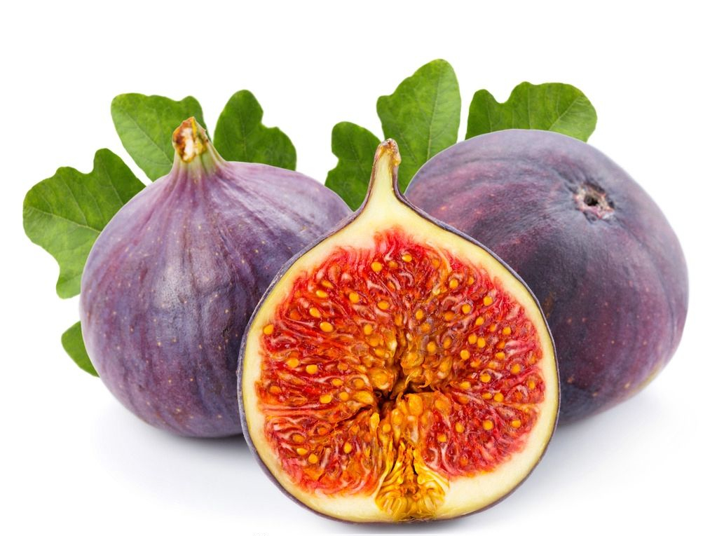 無花果高效栽培技術(shù)