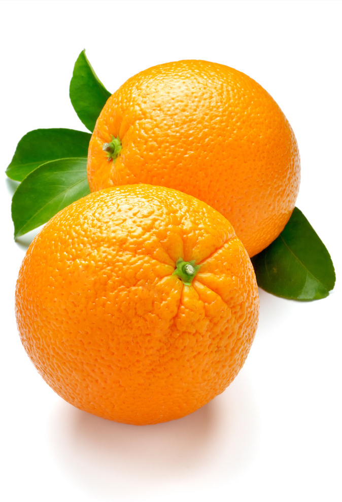 六月前柑桔樹管理技術(shù)要點