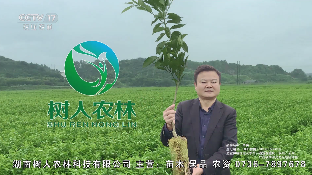 慶祝樹人農林榮登CCTV 苗木促銷惠農助農活動