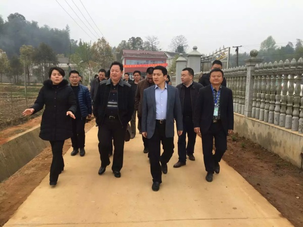 湖南樹人農林科技有限公司,湖南柑橘品種銷售,落葉果樹類銷售,常綠果樹類哪里好