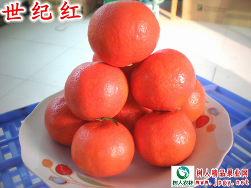 特種栽培技術(shù)