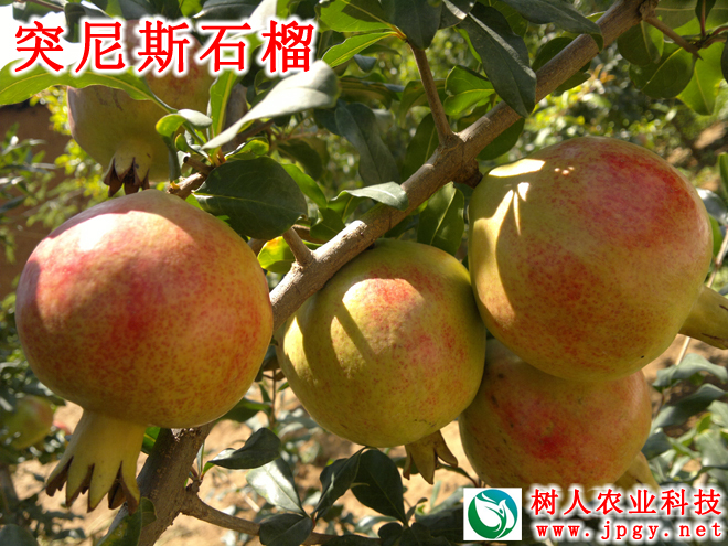 常德市萬(wàn)路達(dá)物流股份有限公司,常德危險(xiǎn)品運(yùn)輸服務(wù),普貨運(yùn)輸服務(wù),物流生活服務(wù)哪里好 常德市萬(wàn)路達(dá)物流股份有限公司,常德危險(xiǎn)品運(yùn)輸服務(wù),普貨運(yùn)輸服務(wù),物流生活服務(wù)哪里好