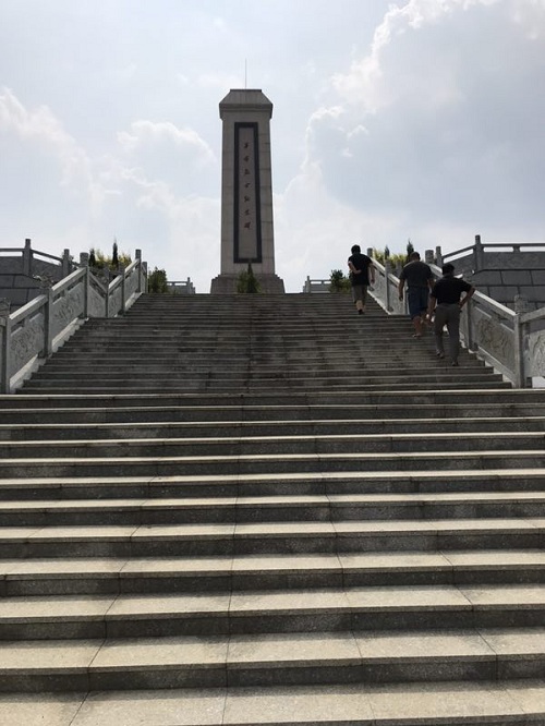 彩色油菜花的研究與開發(fā)推廣