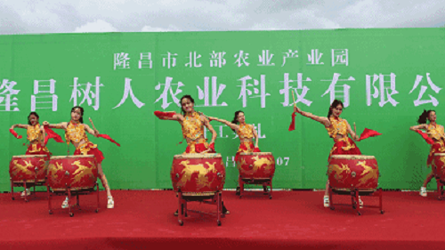 湖南樹人農(nóng)林科技有限公司,湖南柑橘品種銷售,中國果樹網(wǎng),常綠果樹類哪里好