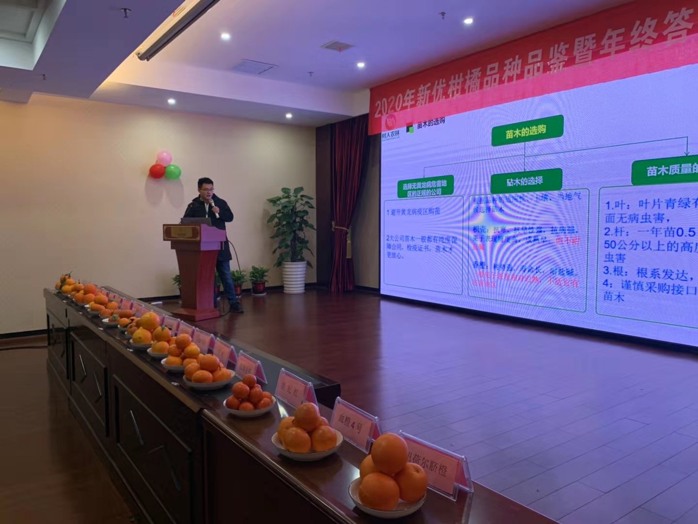 湖南樹人農林科技有限公司,湖南柑橘品種銷售,中國果樹網,常綠果樹類哪里好