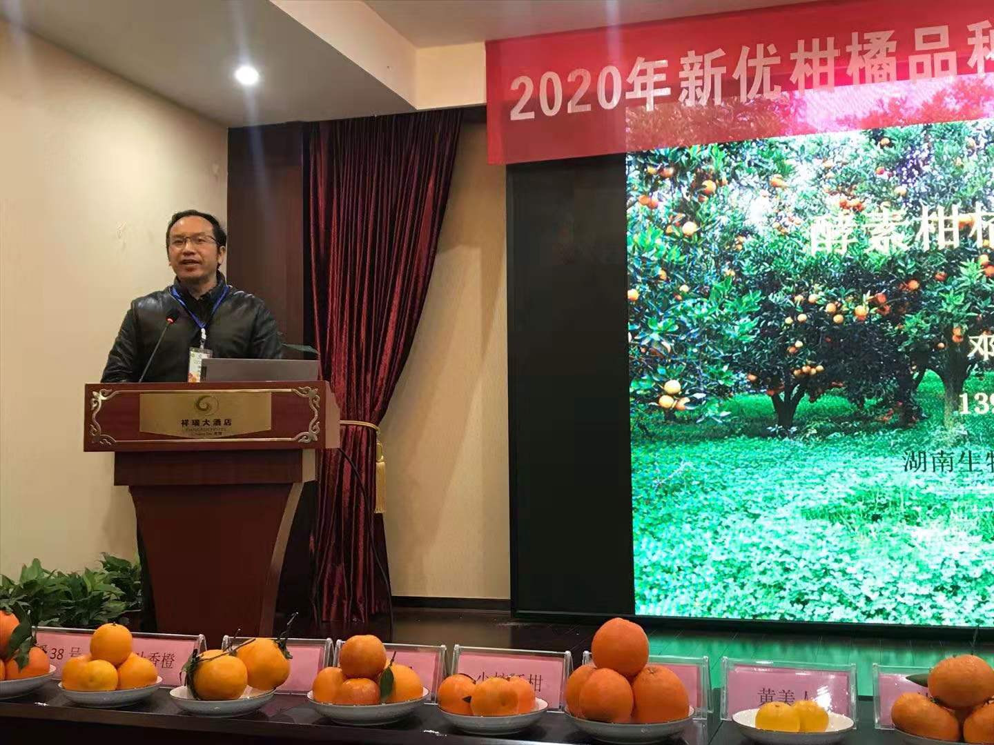 湖南樹人農林科技有限公司,湖南柑橘品種銷售,中國果樹網,常綠果樹類哪里好