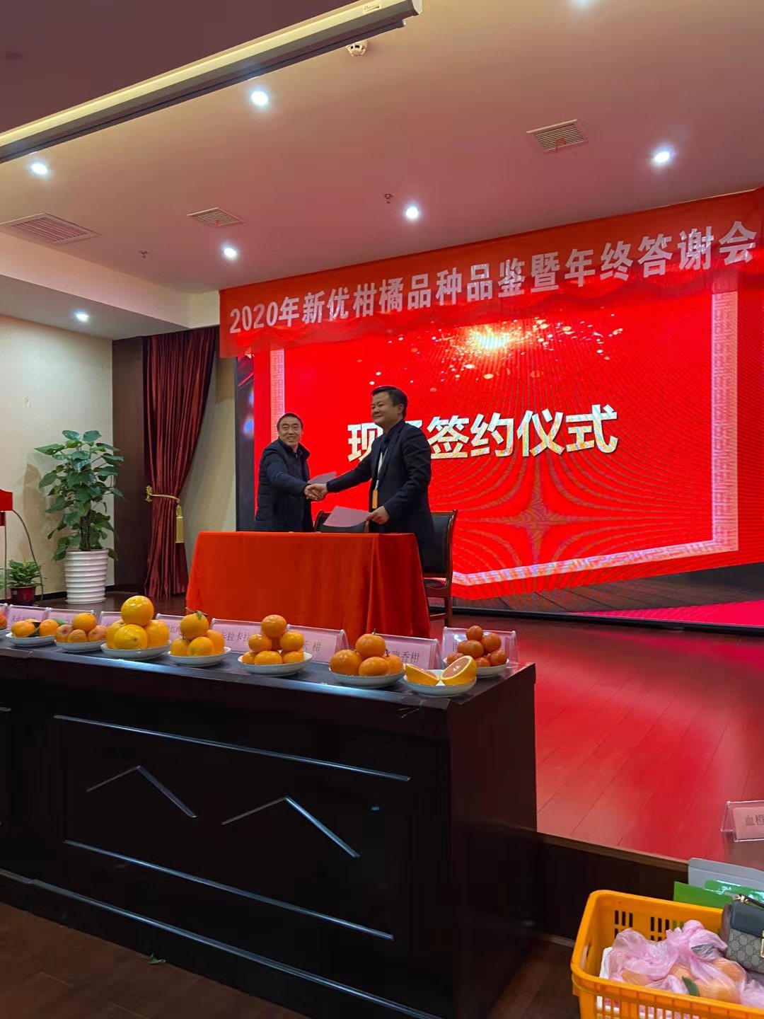 湖南樹人農林科技有限公司,湖南柑橘品種銷售,中國果樹網,常綠果樹類哪里好