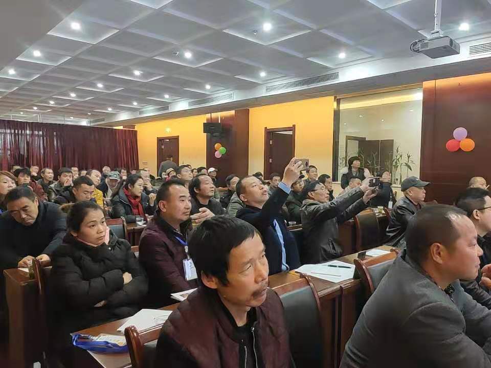 湖南樹人農林科技有限公司,湖南柑橘品種銷售,中國果樹網,常綠果樹類哪里好