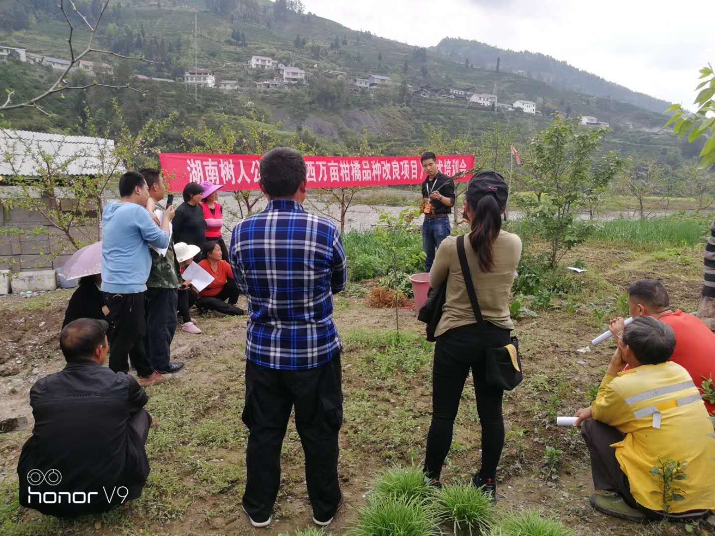 湖南樹人農(nóng)林科技有限公司,湖南柑橘品種銷售,中國果樹網(wǎng),常綠果樹類哪里好