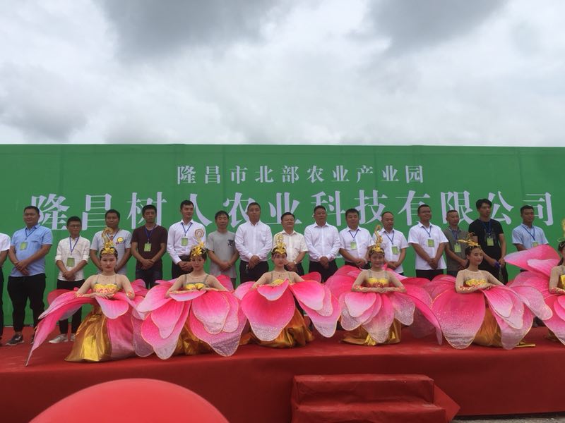 湖南樹人農林科技有限公司,湖南柑橘品種銷售,中國果樹網,常綠果樹類哪里好