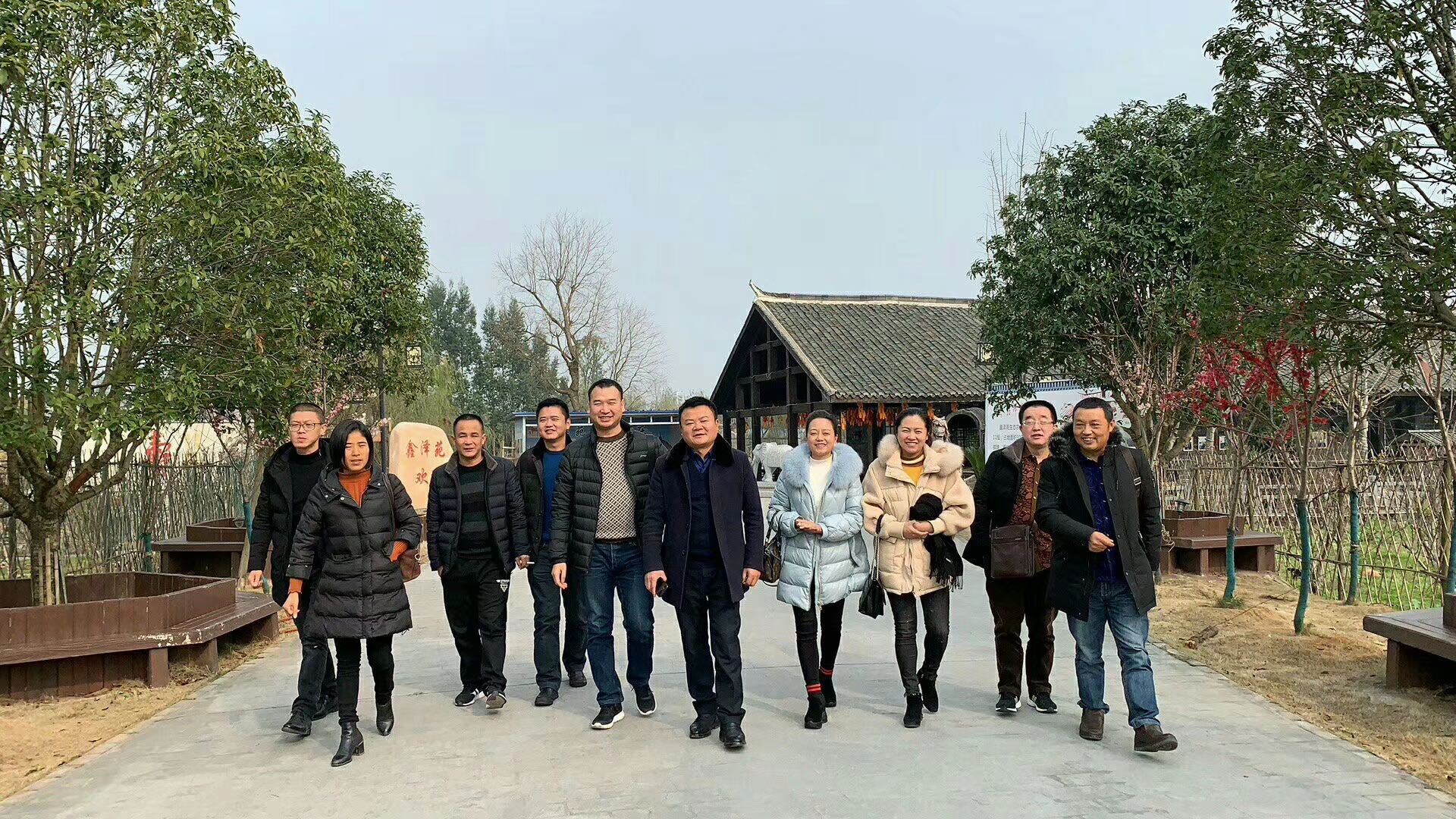 湖南樹人農林科技有限公司,湖南柑橘品種銷售,中國果樹網,常綠果樹類哪里好