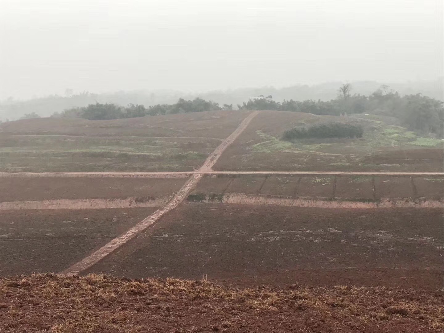 湖南樹人農(nóng)林科技有限公司,湖南柑橘品種銷售,中國(guó)果樹網(wǎng),常綠果樹類哪里好 湖南樹人農(nóng)林科技有限公司,湖南柑橘品種銷售,中國(guó)果樹網(wǎng),常綠果樹類哪里好