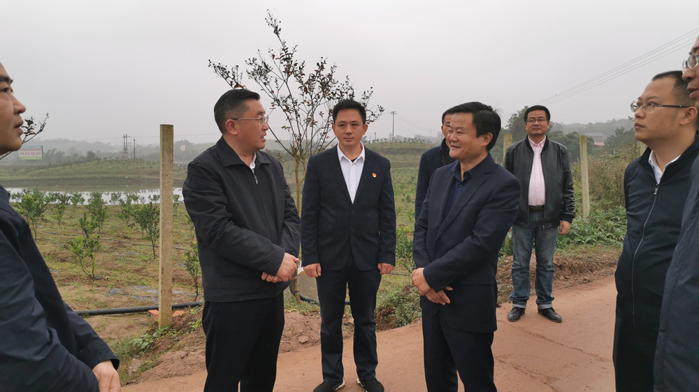 湖南樹人農林科技有限公司,湖南柑橘品種銷售,中國果樹網,常綠果樹類哪里好