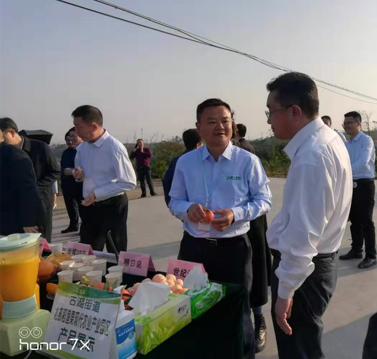 湖南樹人農林科技有限公司,湖南柑橘品種銷售,中國果樹網,常綠果樹類哪里好