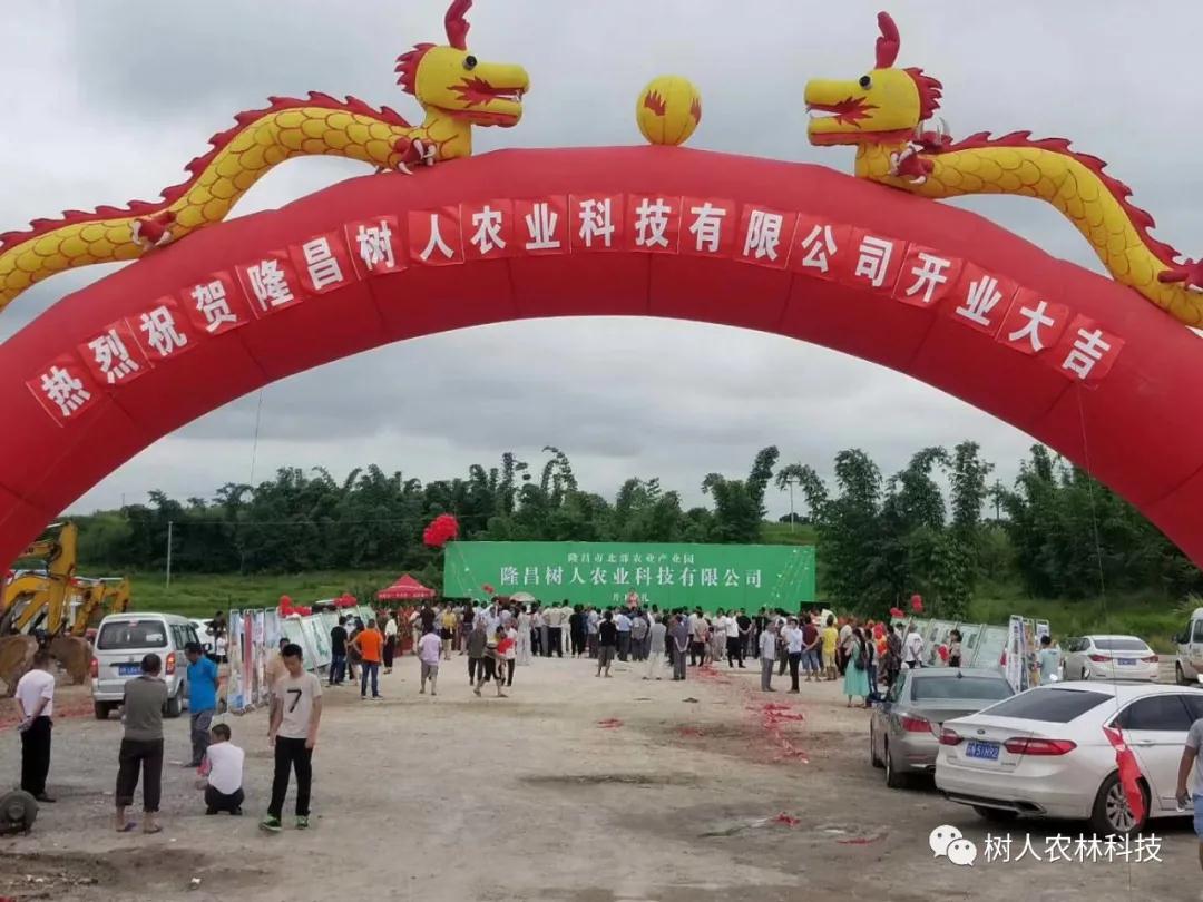 湖南樹人農林科技有限公司,湖南柑橘品種銷售,中國果樹網,常綠果樹類哪里好